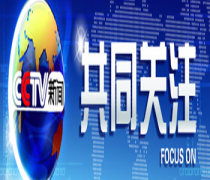 北京中視百納國(guó)際廣告攜阿土伯網(wǎng) 深耕國(guó)內(nèi)廣告代理的協(xié)同之道